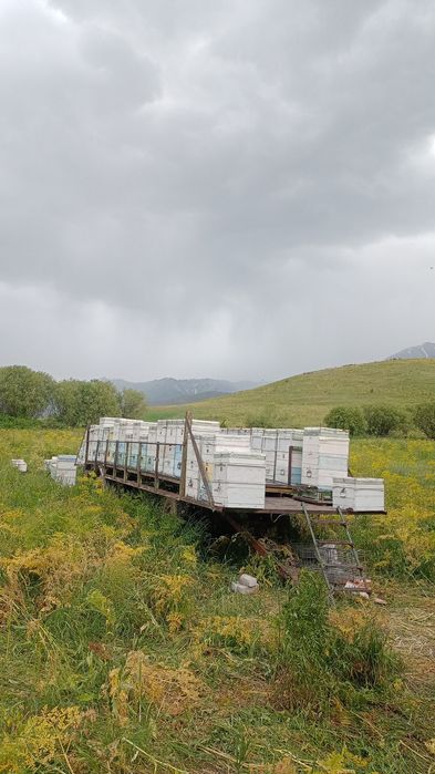 Продам 2 прицепа