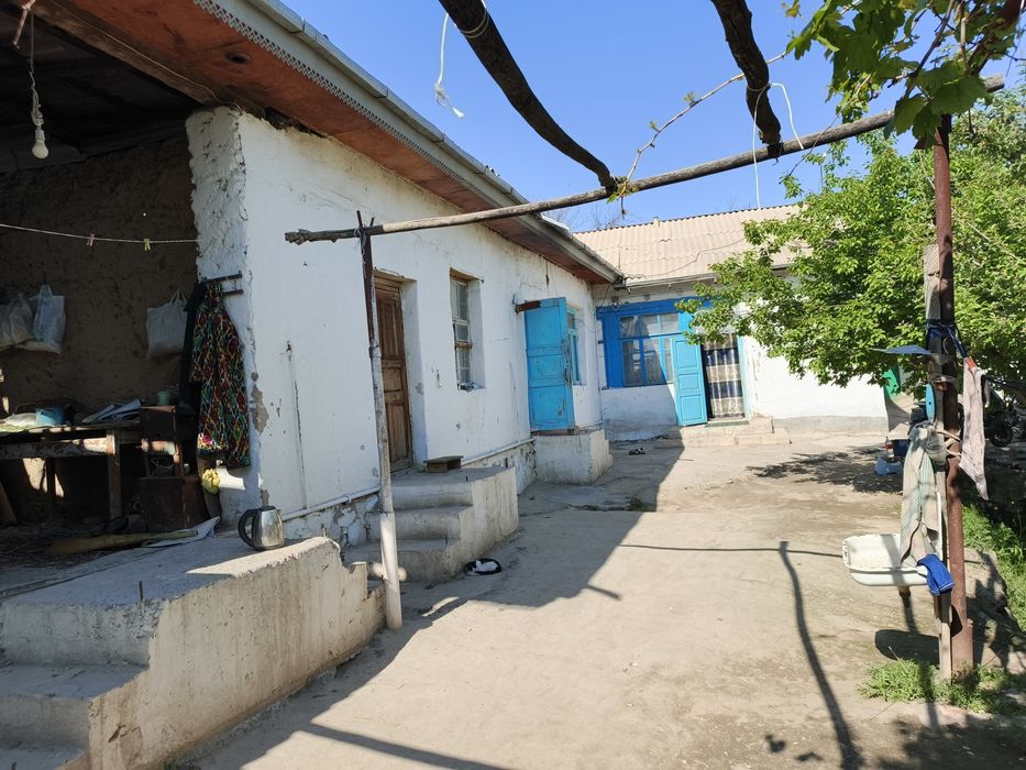 Ziyovuddin shaxarchasi, Mirzo Ulug'bek  MFY, Navoiy k 19 uy.