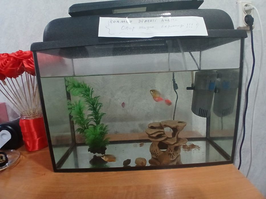 Аквариум  готовый