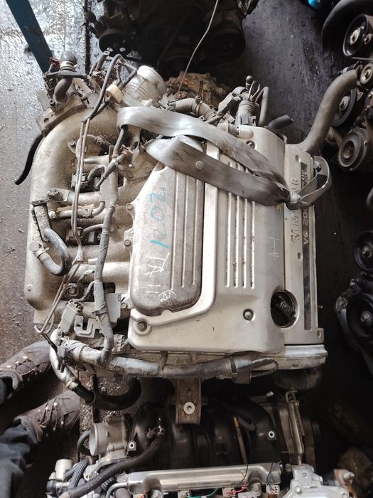 Ниссан максима, примера