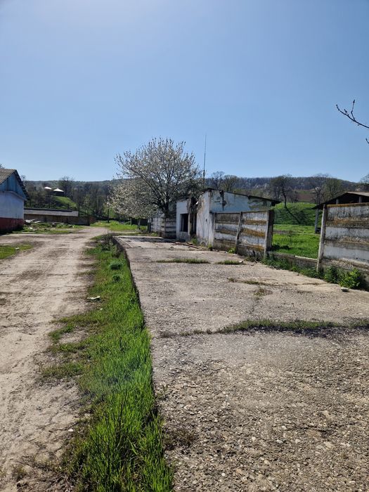 Vand teren intravilan 44113 mp la E85 - langa Bacau