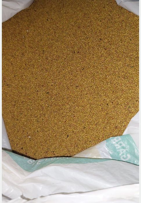 Vând semințe de. Lucernă