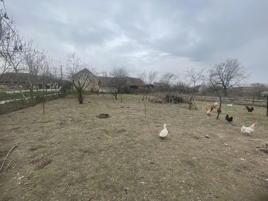 Casa de vanzare la drumul national