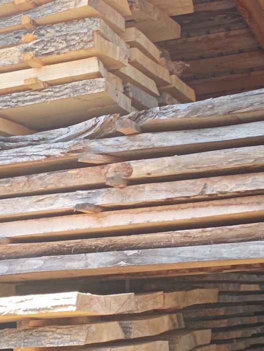 Vând dulap frasin uscat pentru sculptura