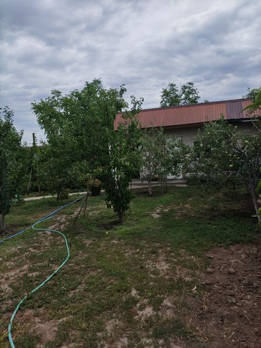 Продам дом-дачу, срочно