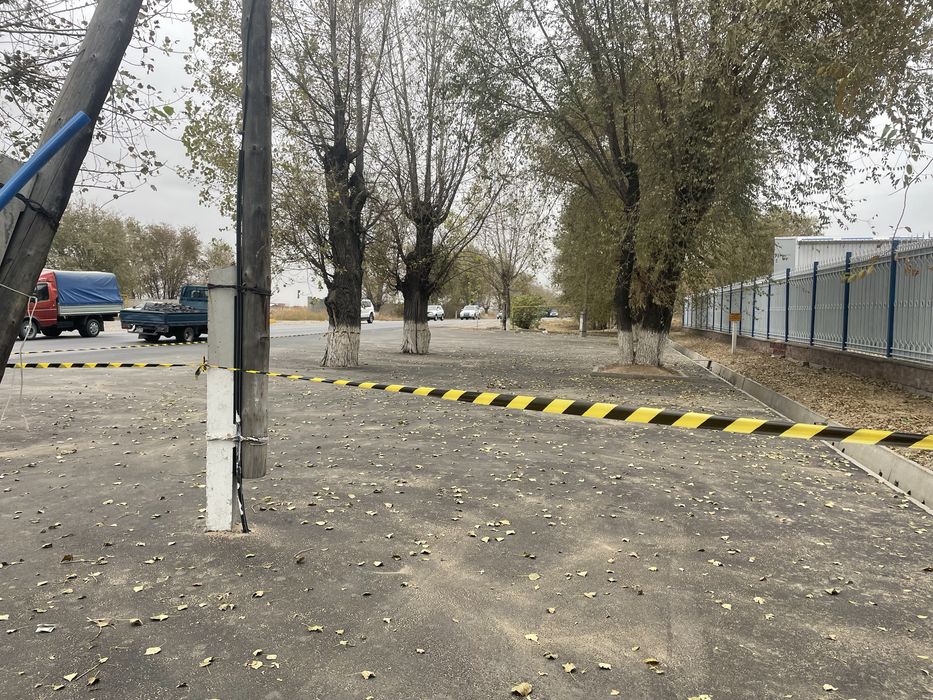 Спил дерева,сруб деревьев.