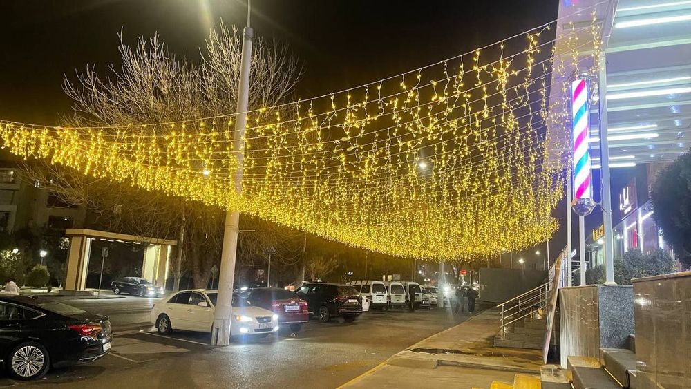 Гирлянда бахрома, дождик . Уличные , качественные