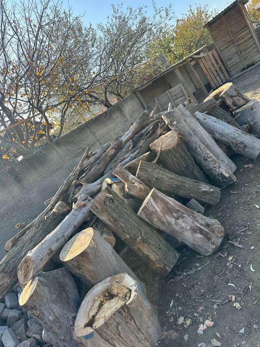 Отын сатылады