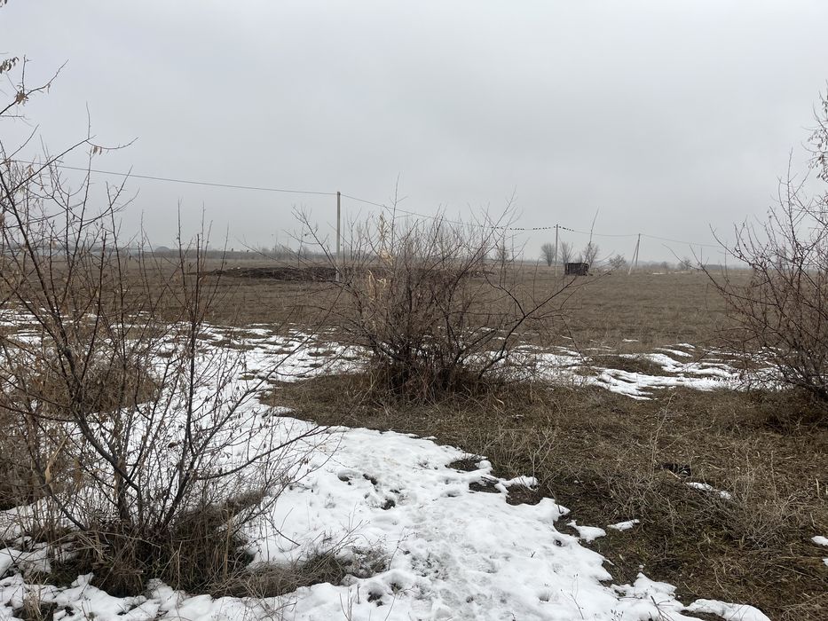 Участок 50 соток