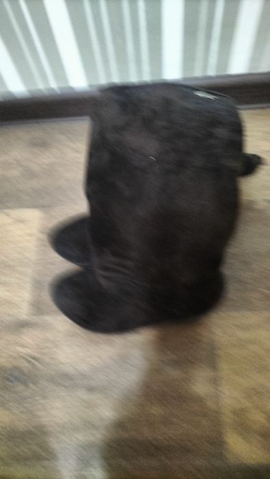 Сапоги, зима, маленький размер 34