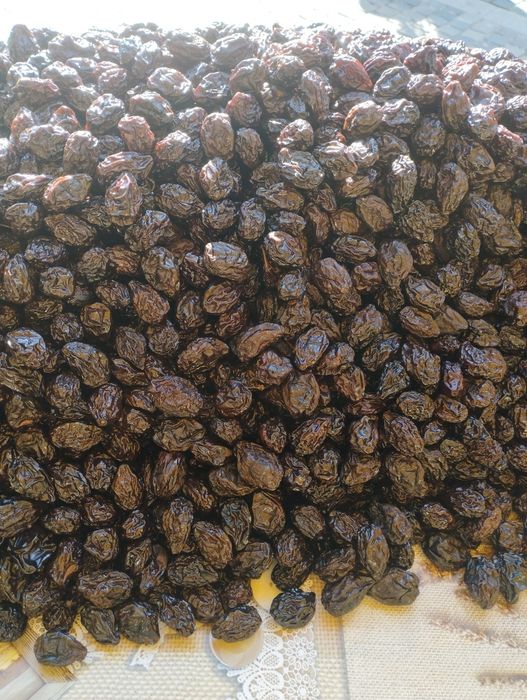 Prune uscate fără fum producție 2026 calitate superioara