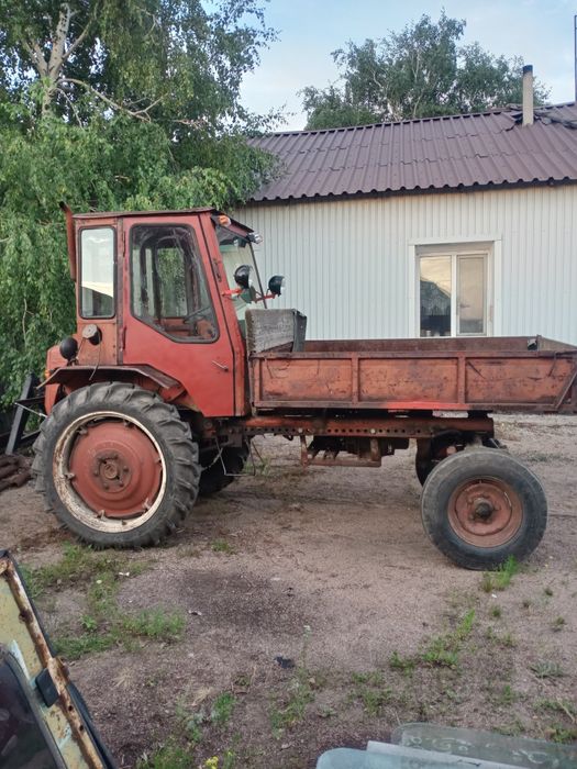 Продам трактор т16