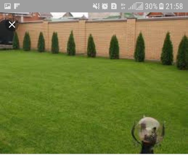 Газон Автополив !