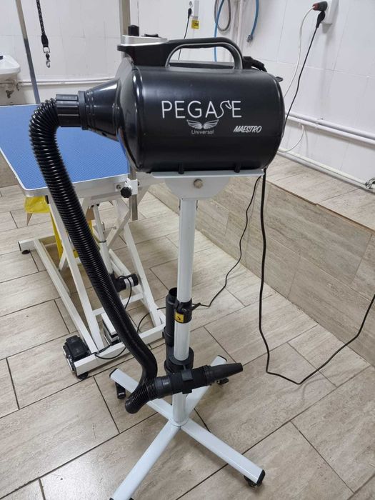 Uscator pentru caini si pisici Pegase MAESTRO 3000W