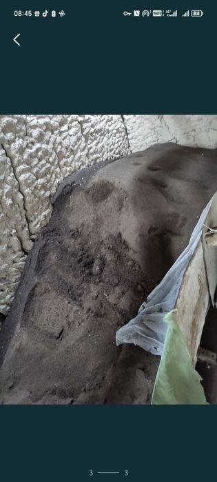 Биогумус тыңайтқыш