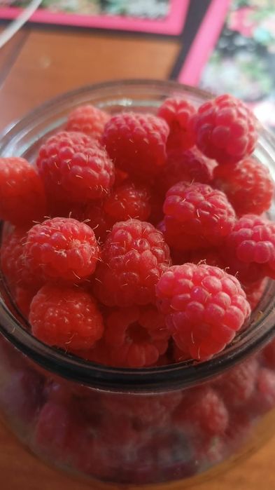 Малина домашняя вкусная