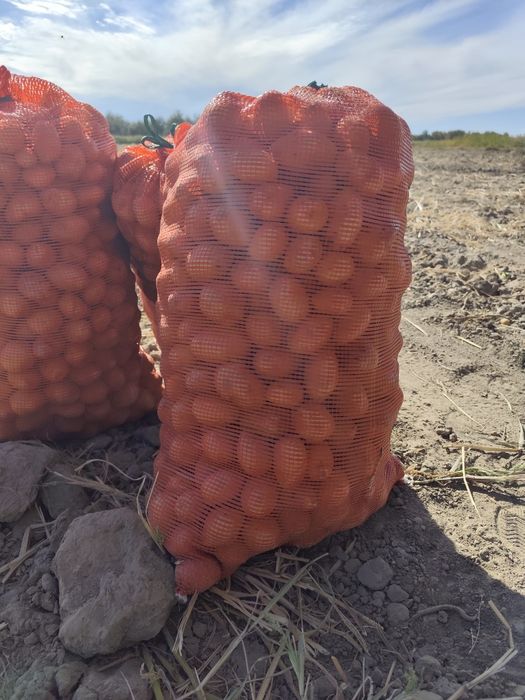 Продам картошку мелких