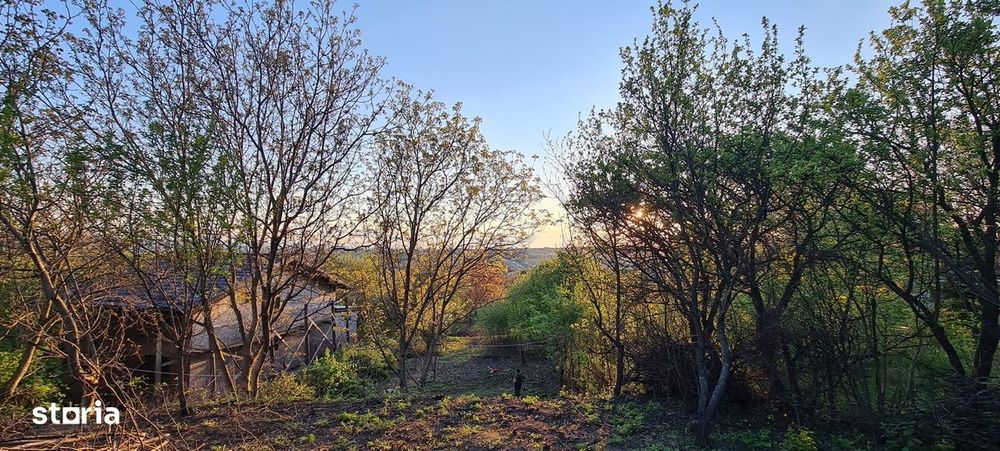 Teren pentru constructii case de vanzare Iasi Copou