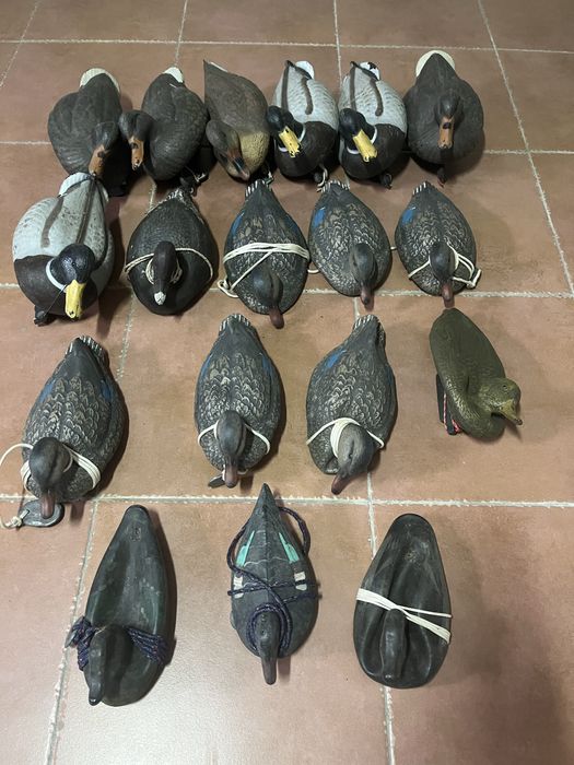 Охота и рыбалка,