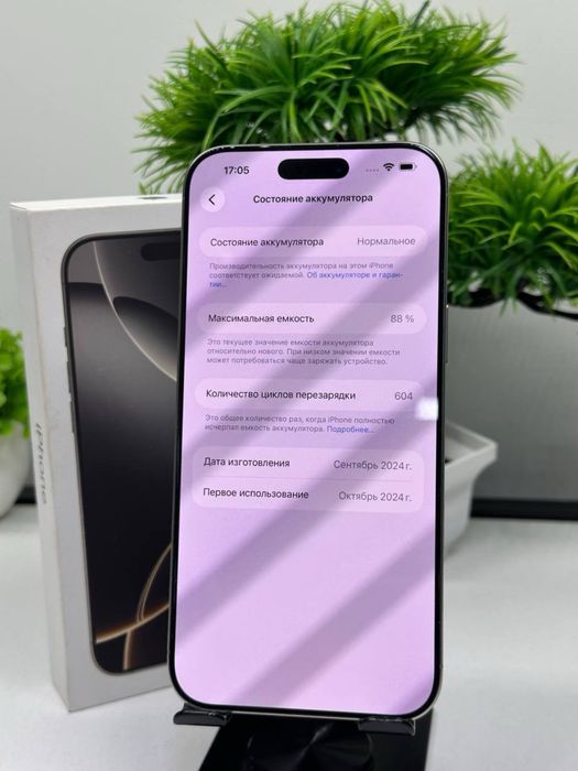 iPhone 16 Pro Max 256gb  Akb:88% цп:604