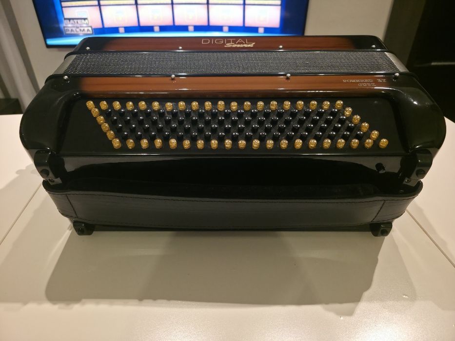 Acordeon Digital Sound