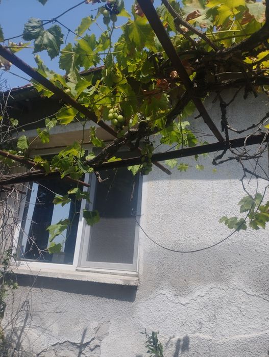 Продава се Къща в Димитровград - 110 кв.м за 218 €/кв.м - Снимка #5