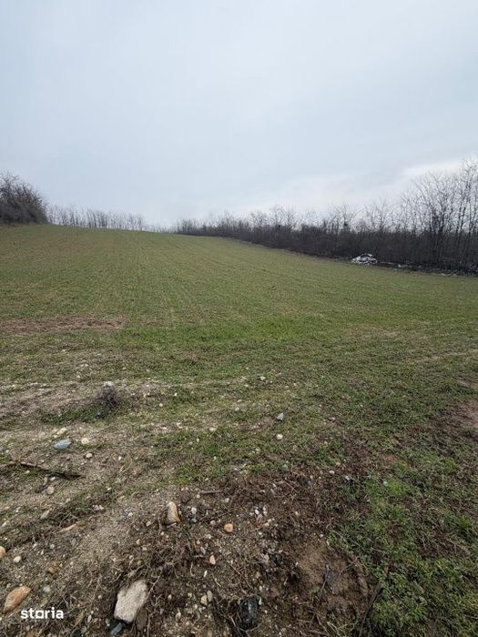 Teren de 6700mp, la intrarea in Filiasi ,la 50m de str. Racoteanu