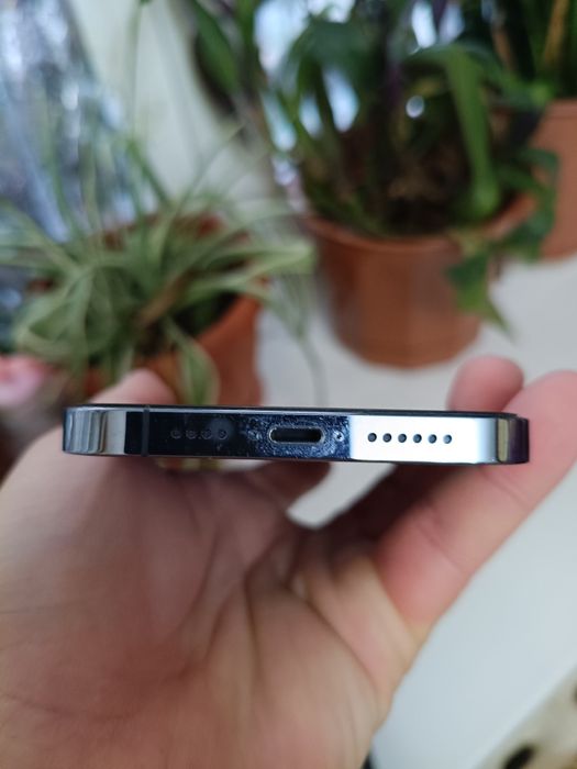 iPhone 13 pro maks