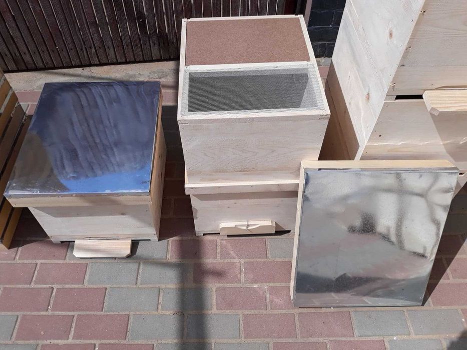 Stupi lazi,stupi albine,rame tei,rame stupi insarmate-PRODUCATORI-DOLJ