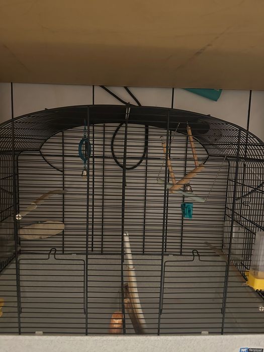 Vând colivie dublă