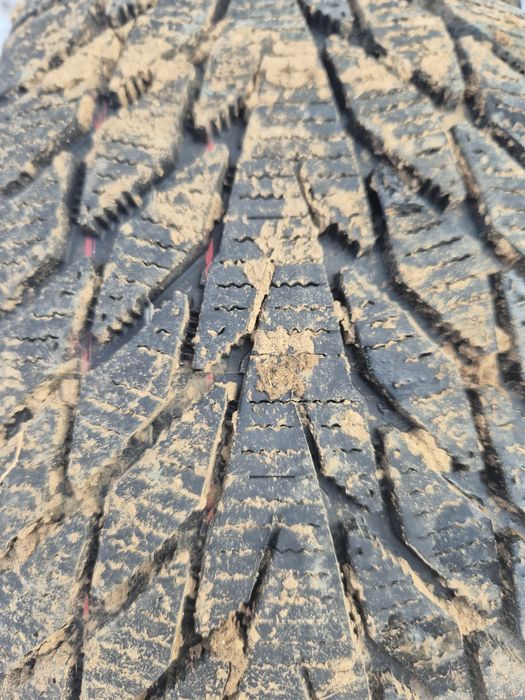 Кордиант  летнее 1 штука