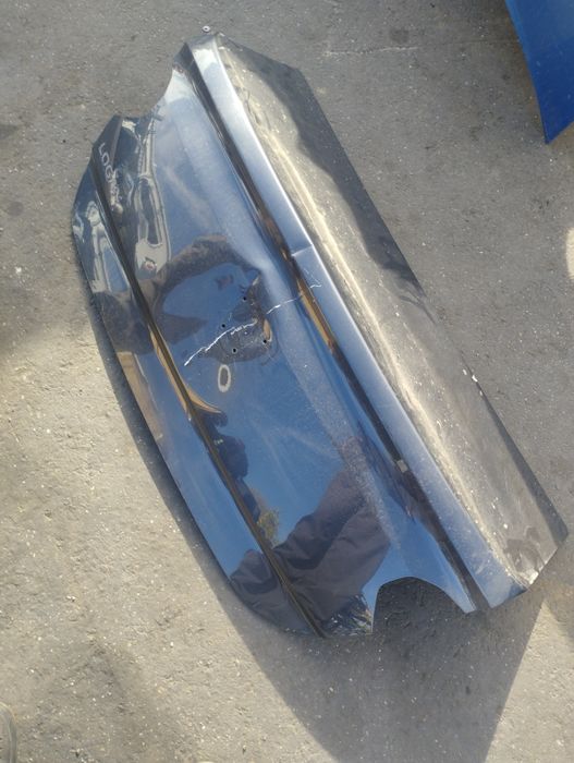 Haion porbagaj Dacia Logan 3 lovit
