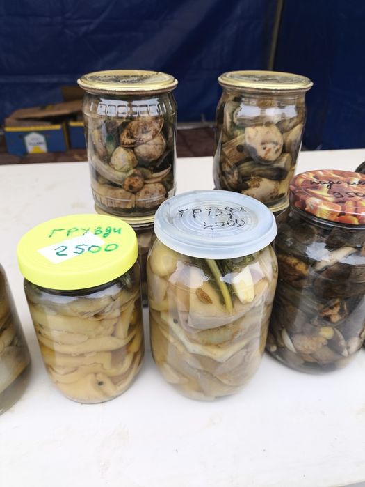 Грибы маринованные