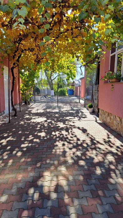 Casa tarian plus spatiu comercial