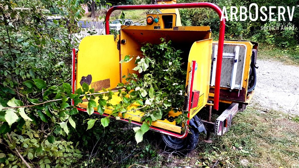 Cosire curatare defrisare tocare iarba arbusti rugi ambrozie maracini