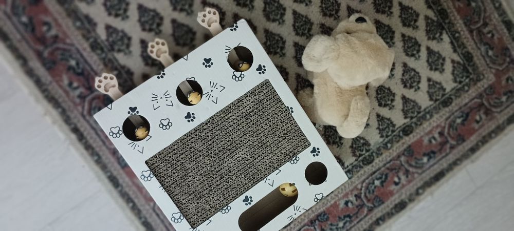 Продавам котешки