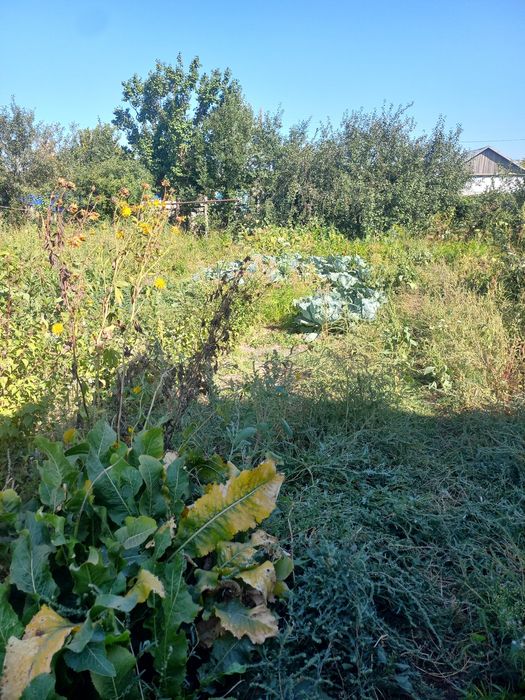 Продажа частный дом