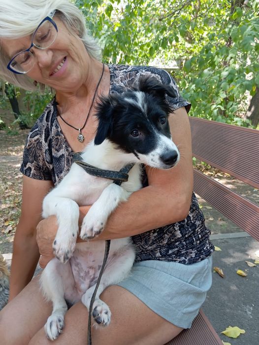 Мальчик Звоночек