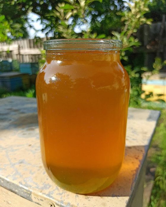 Продаю натуральный вкусный полезный мёд со своей пасеки.