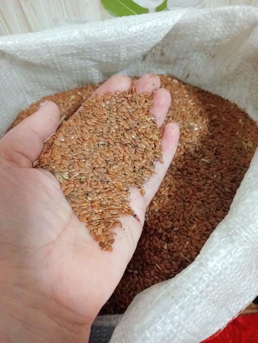 Продам лён, 95% семян льна в мешке
