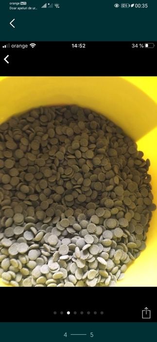 Hrana pesti de orice tip la kg.