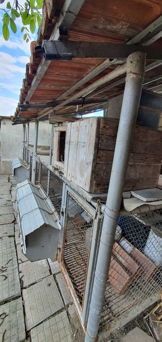 Зайчарници с.Скутаре Пловдивско