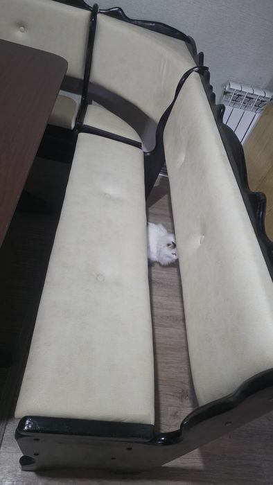 Уголок кухонный со столом