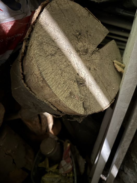 Дърва за огрев - Бук   100 лв