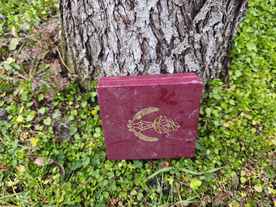 полски възпоменателен медал, значка на Спортния комитет на армията