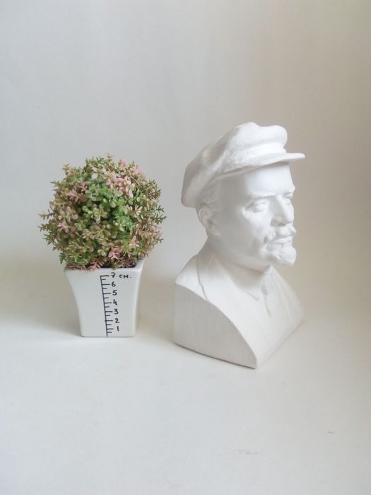 Бюст Владимира Ильича Ленина.