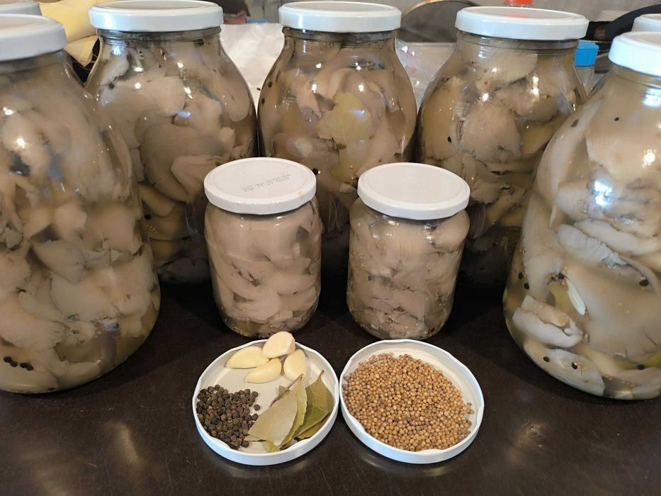 Ciuperci Pleurotus murate (marinate,salata) putin acre ,  720ml