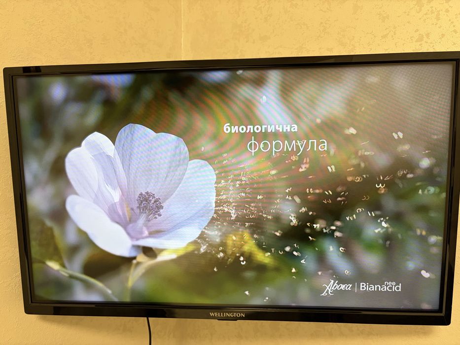 Телевизор Wellington 32”