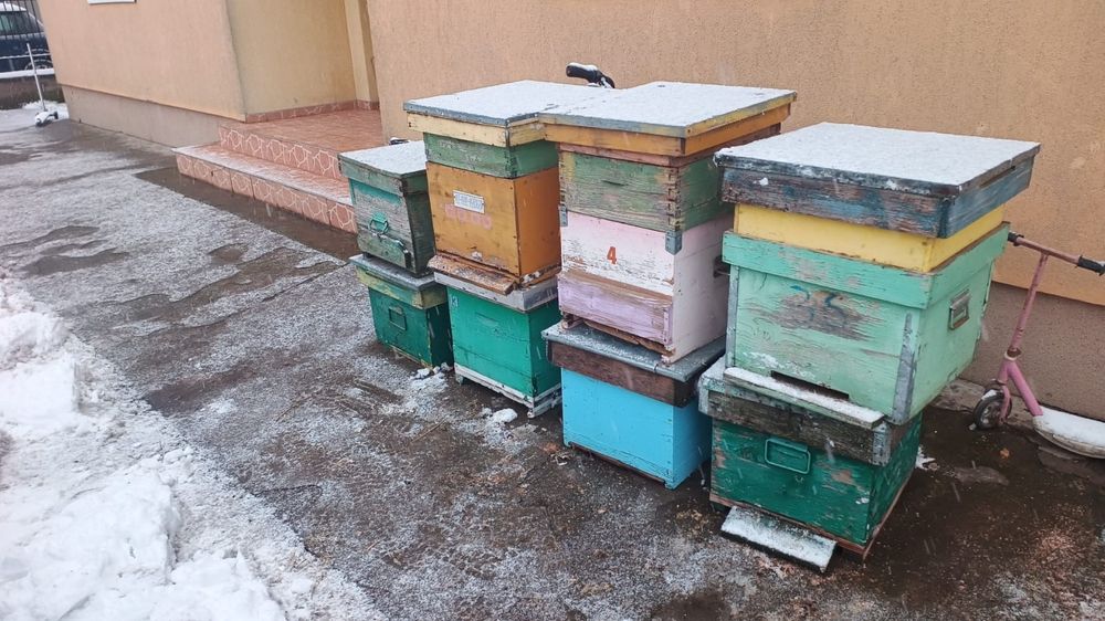 Vând urgent lazi goale