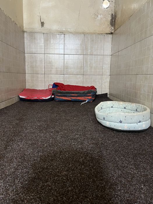 Pensiune Canină Iasi